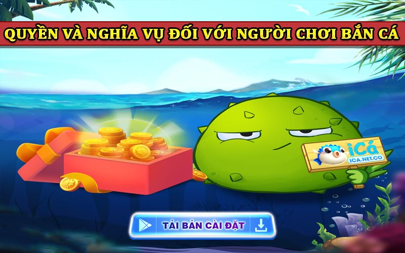 Quyền và nghĩa vụ đối với người chơi game Bắn Cá